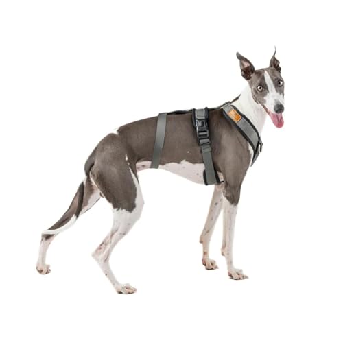 3-Punkt-Gurt, Anti-Ziehen, ideal für Lebreles: Italienischer Windhund, Whippet, Windhund, Podenco - sicher, atmungsaktiv und langlebig, perfekt zum Wandern, Training und Laufen, Anthrazit, M