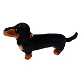 Générique Peluche Cane Bassotto - Cane Peluche Da Abbraccio, Compagno Di Gioco...