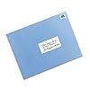 Avery Printable All-Purpose Removable Labels, 2" x 4" White, Write or Print, Great for Organization Projects, 100 Customizable Blank Labels (5444) #3