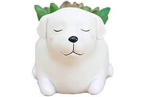 Adorable Labrador Dog Planters for Indoor Plant Decor