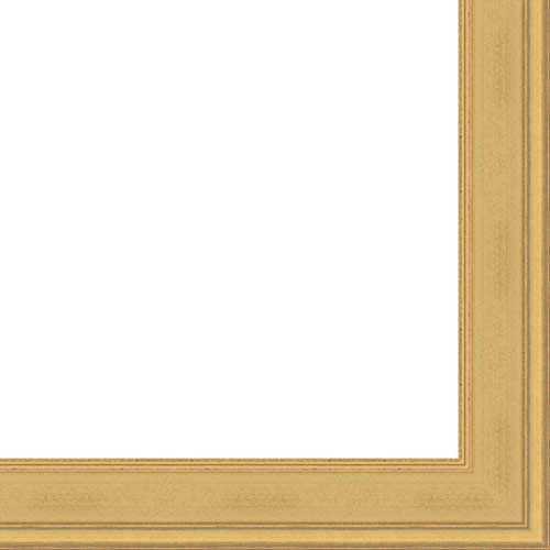 Picture Frame Moulding (Wood) 100ft Bundle - Contemporary Gold Finish - 2" Width - 3/4" Rabbet Depth