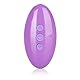 Venus Butterfly Remote Wireless Butterfly, 180 g
