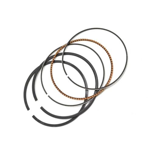 Segments de piston DR250 73.25mm, accessoires de moto pour vos aventures 250cc