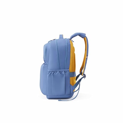 Image of American Tourister Hall 4.0 | 32 Ltrs | 2 Compartments | Bottle Pocket | Ergonomic Padded Back Panel & Shoulder Straps | Laptop Backpack | 1 Year International Warranty | Bluestone