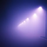 Shadows Whisper