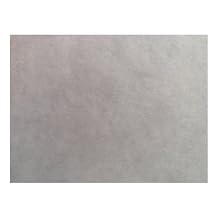 Blue Litmus Test Paper 8x10 Inch Sheet [Pack of 24]