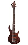 ESP LTD D-6 6-String Electric Bass Guitar, Natural Satin
