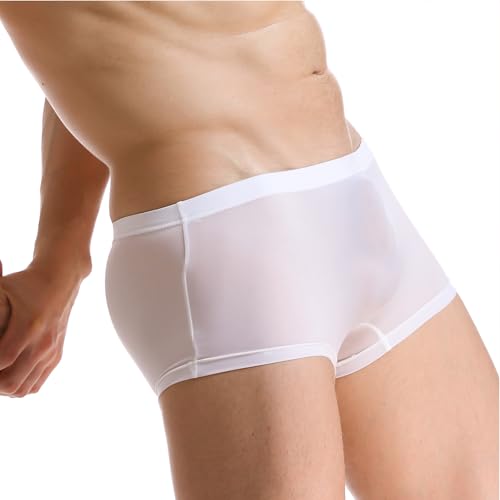 Mens Underwear Sexy See Through Boxer Ice Silk Boxers for Men Shorts Pants Breathable Comfort Trunks