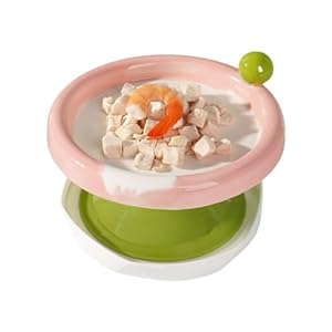 Ant Away Cat Food Bowls,Ceramic Cat Bowls for Indoor Cats,Rasied Cat Bowls,Elevated Cat Plates Whisker Friendly,Outdoor Cat Bowl,Cats Feeding Stand,Orthopedic Cat Bowl for Cats Kitty Dogs