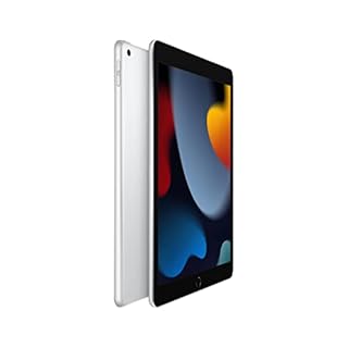 2021 Apple iPad (10,2-pollici, Wi-Fi, 256GB) Argento (Ricondizionato)