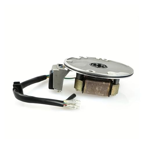 Placa de estator para Pit Bike de 70cc a 125cc con rotor de bobina de encendido 3
