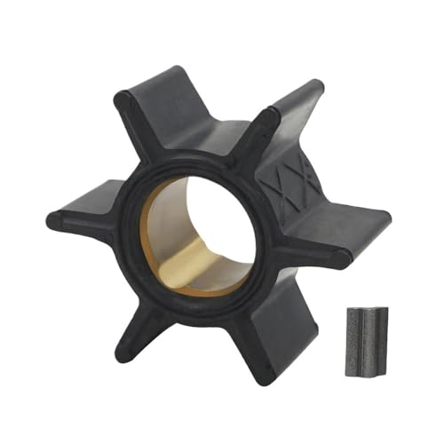 Kit de remplacement de pompe à eau avec turbine pour hors-bord 4 à 9,8 CV