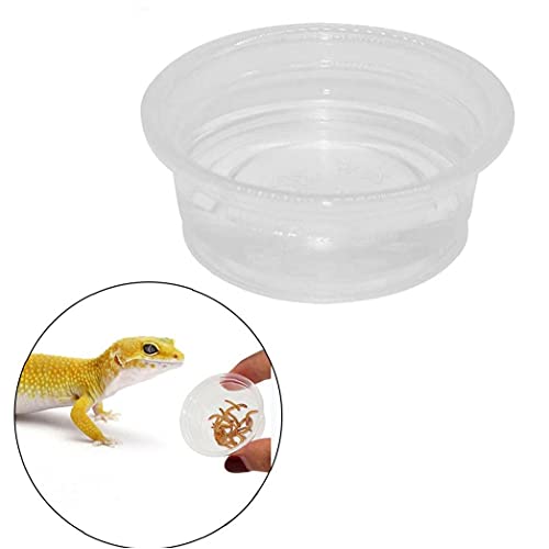 fregthf 100 Reptiel Transparante Ronde Dozenreptiel Feeder Kommen Gecko Transparante Feeder Kommen Reptielen Voeding… - Afbeelding 7