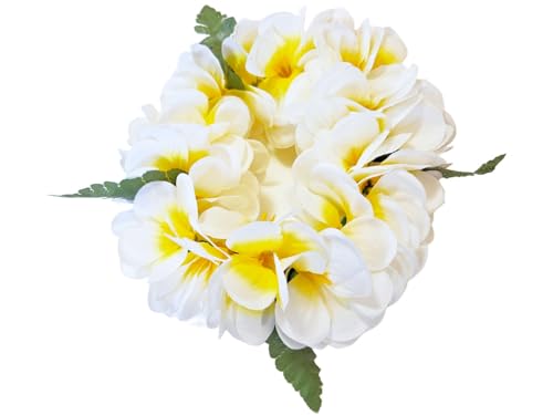 t_X nNC C|I wbhoh vA 炩 _u zCg CG[   nN 50cm Lk t[TCY S