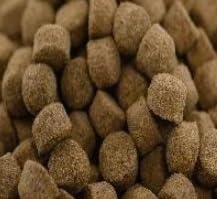 ƂЂ EP5 850g karasumaru wE弄GCvRUKj̉a 5.1mm pa
