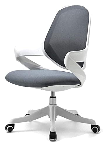 Chaise d'ordinateur ergonomique LiChA pour des journées de télétravail confortables