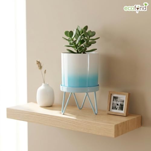 Image of ecofynd Lucas Metal Plant Pot with Sky Blue Stand, Modern Style Planter Set, Indoor Outdoor Home Decor Item for Garden Plants Flower, Balcony, Patio, Living Room, Garden, Bedroom (PWS032-WHTSBL)