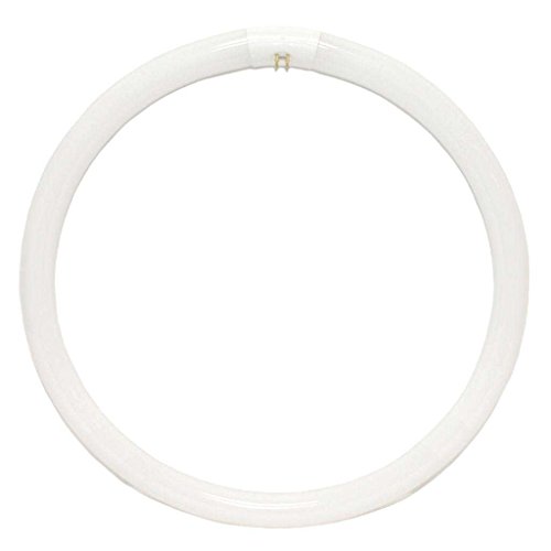 Bulbrite FC16T9CW 16-Watt Circline Fluorescent T9 Bulb, 4100-Kelvin, G10q Base, 16-Inch Diameter