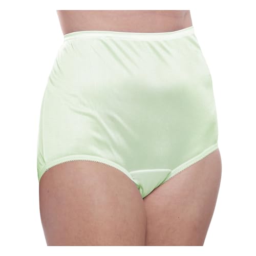 Image of Teri Women's 331 Plain Jane Classic Nylon Silky-Smooth Lightweight Breathable Full Coverage Brief Panty - 4 Pack
