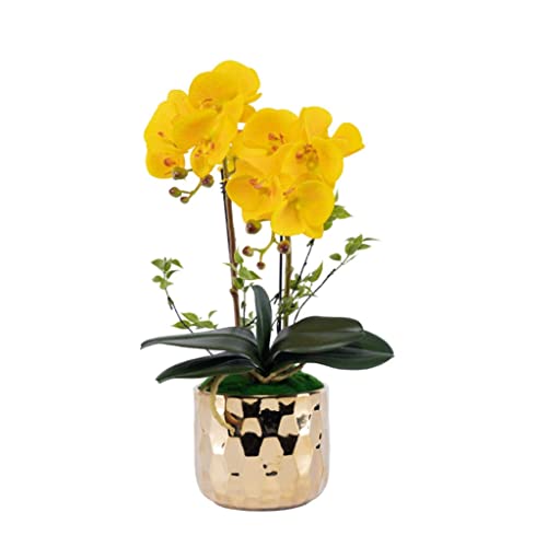 lHԃt@GmvVXƑ̌̃e[û߂̋F̃Z~bNAؔ̋ỦԃvX`bNԂ̃Z^[s[Xz[Z^[s[Xibj