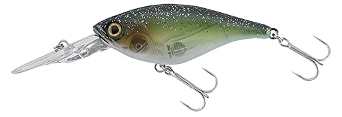 JACKALL(ジャッカル) ソウルフラット 58SF SKダークサンダークリアーベイト 1枚目