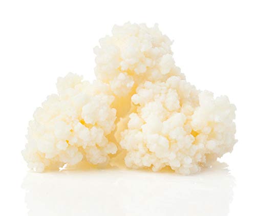 image for 10g of Kombuchaorganic® Live Certified Organic RAW Milk KEFIR Grains 