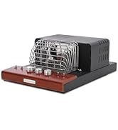 Amazon.co.jp: SOUNDWARRIOR 日本製 USB DAC 内蔵 真空管アンプ | SWL