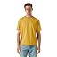 Yellow (Yellow Siena)