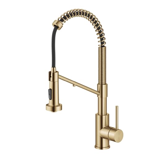 Kraus Bolden 2-in-1 Pull-Down Single Handle Kitchen Sink Filter Water Faucet for Reverse Osmosis or Water Filtration System in Brushed Brass, KFF-1610BB