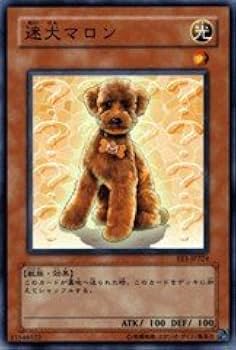 マロン様、遊戯王 遊戯王オフィシャルカードゲーム デュエルモンスターズ 遊戯王カード