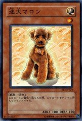 Amazon.co.jp: 【遊戯王シングルカード】 《エキスパート