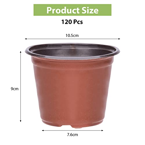 Macetas, Lawn & Patio Imagen adicional