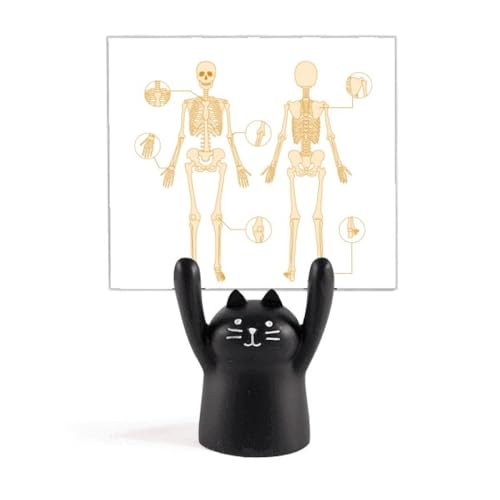 Squelette de chat noir support mémo porte note halloween résine