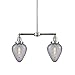 Innovations 209-PN-G165 2 Light Chandelier, Polished Nickel