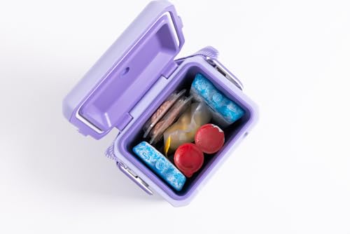 image for Igloo Large Maxcold 2 Pack Ice Block, Reusable Ice Packs for Coolers, 