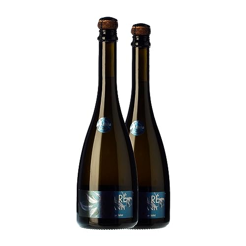 Sidra Éric Bordelet Poiré Granit Normandia - Sidra 75 cl (Caja de 2 Botellas de 75 cl)