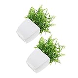 Photo Gallery zunoxaz 2 pezzi piante finte bonsai lavanda in vaso piccole artificiali resistenti e realistiche per decorazione interni scrivania bagno soggiorno Photo Gallery zunoxaz 2 pezzi piante finte bonsai lavanda in vaso piccole artificiali resistenti e realistiche per decorazione interni scrivania bagno soggiorno