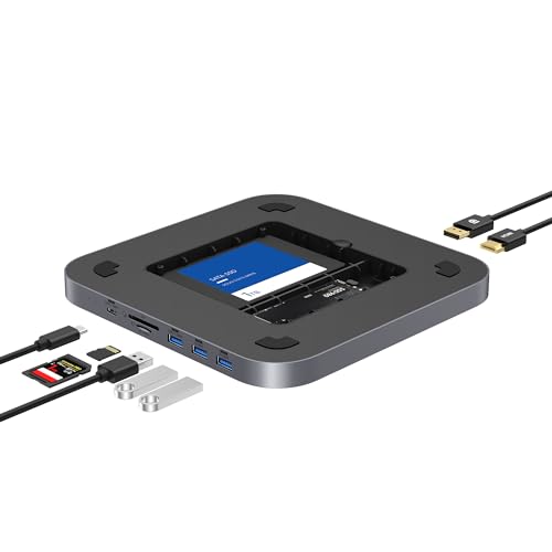 Amazon.co.jp: Qwiizlab USB Cハブ デュアルドライブエンクロージャ