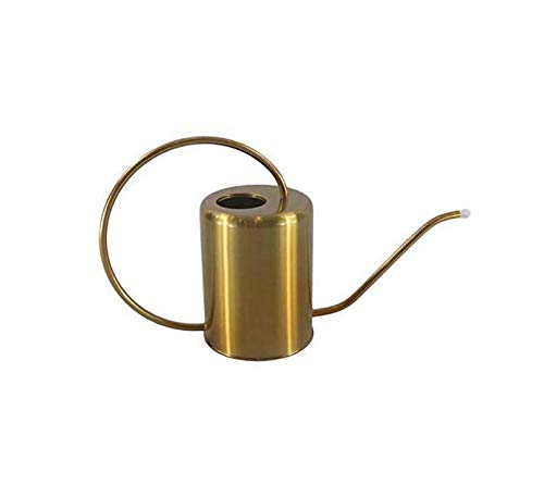 Gießkanne 2000ml Edelstahl Metall Blumengießkanne Gold Giesskanne Gartengießkanne Mit Langen Hals für Familie Büro Topfpflanzen Bonsai.2L