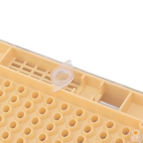 Boîte de culture efficace pour abeilles reines et kit de greffage - 8