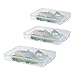 3pcs Kühlschrank Lebensmittelhalter Dumpling Storage Box Case Food Organizer Tablett Einschichtstapel mit Deckel Kunststoff transparent