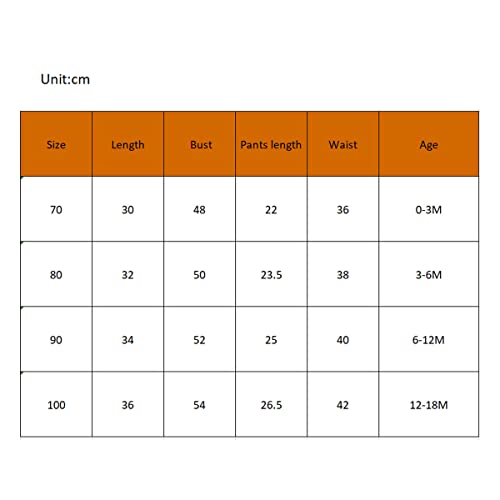 Fybitbo Baby Boy Easter Outfit Bunny Print Short Sleeve T Shirt And Bule Shorts My First Easter Boys Clothes Set (Cute Bunny Print-Blue, 0-3 Months) #TOP6