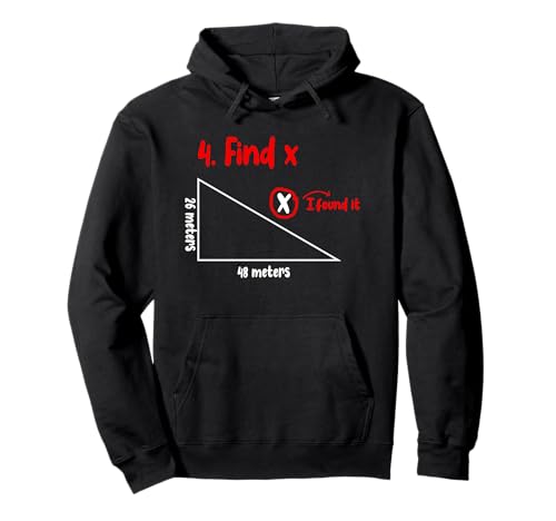 Divertido amante del diagrama X de Math Find Sudadera con Capucha