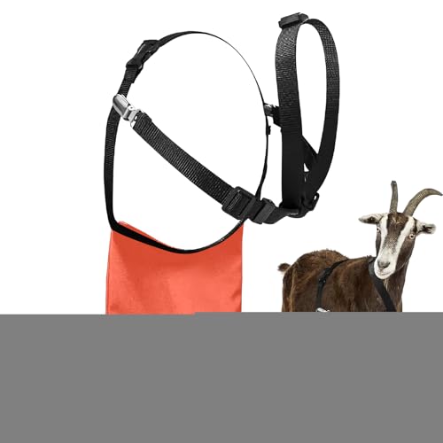 Mp zh~ Gv, `FXgXgbvt ɐB MXJ[g, ƒ{ qǗ _ƌѕی쑕 {YpveN^[