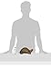 Design Toscano Aesop's Turtle Ornament Garden Tortoise Animal Statue, 10 Inches Wide, Cast Iron, Verdigris Finish