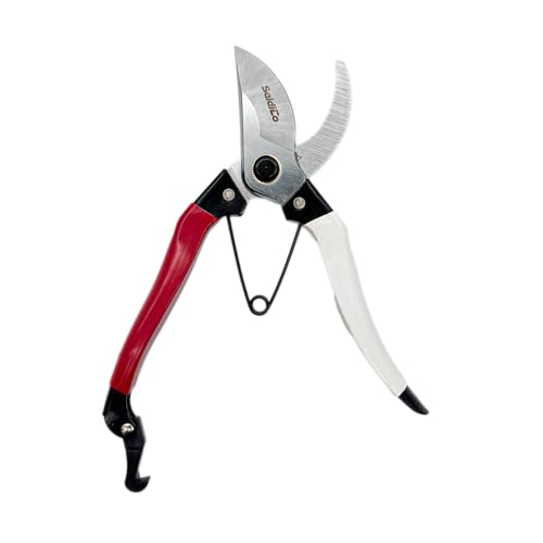 Tijeras de podar SaidiCo profesional 3/4 pulg miniatura 5
