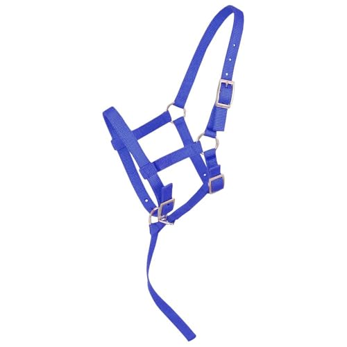 Tough1 Adjustable Foal Halter - Royal Blue