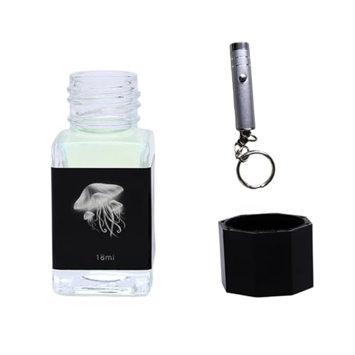 DIIOOMIEEU Invisible Disappearing Inks with Light Invisible Inks Fluorescent Inks Stationery for Fountain Glass Dip Pen