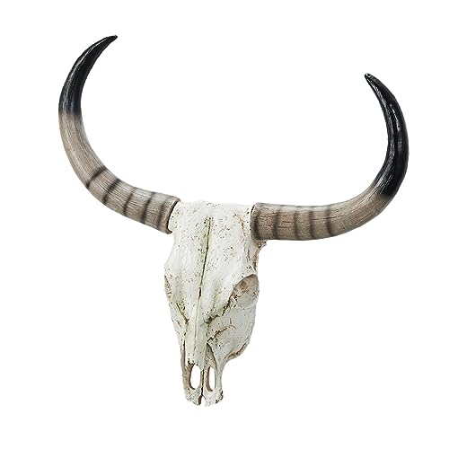 Yajuyi Oz[ XJ Oz[ ̓W ǒ A[g Ntg   Ǌ| gFp Vzj Ӎ, F