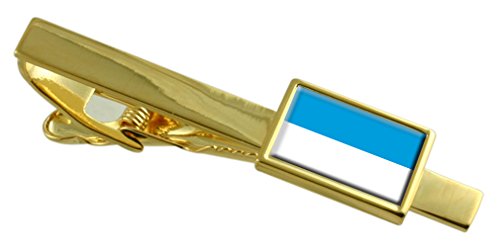Clip de corbata de oro de Viljandi Estonia para trajes elegantes